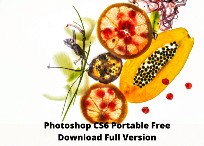 photoshop cs6 portable free download